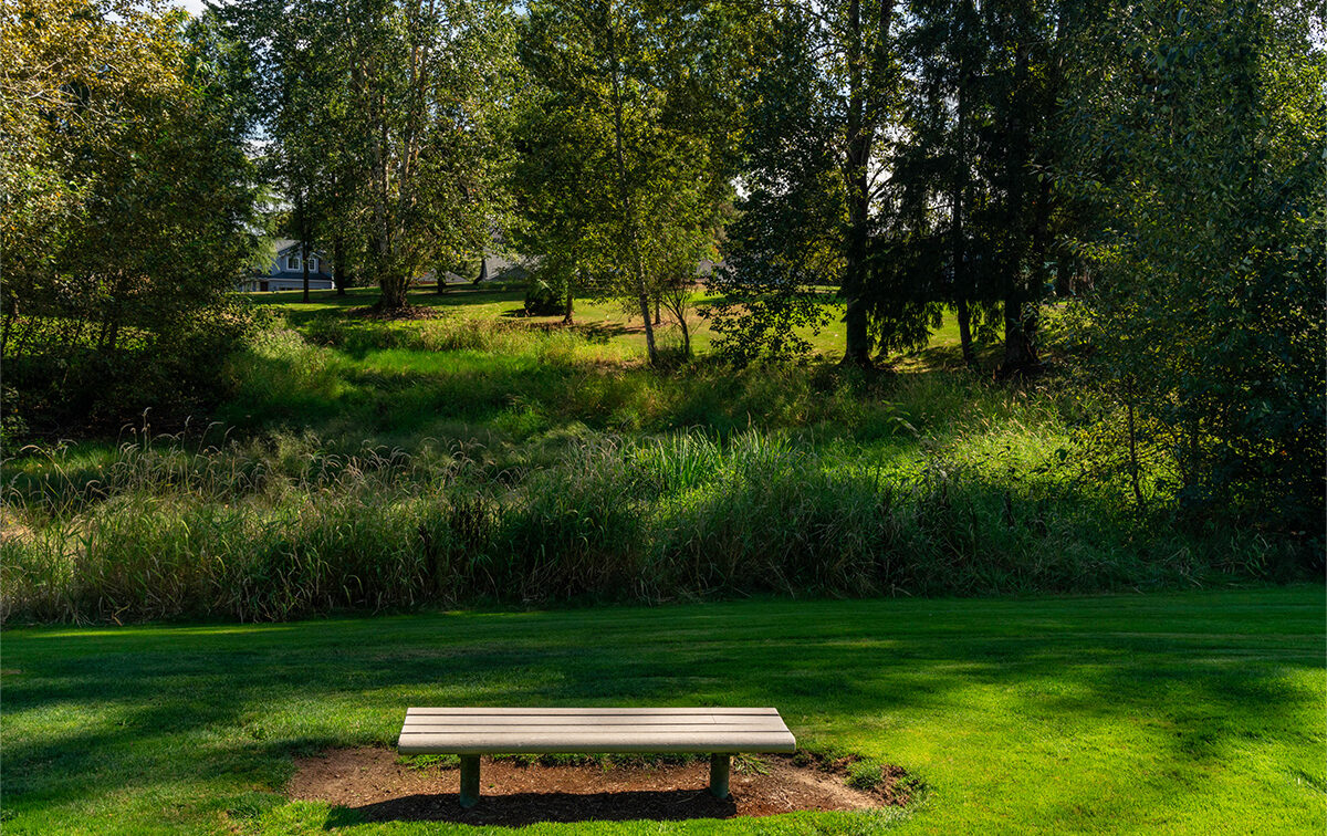 A wooden bench on a grassy field faces a lush grove of trees under a clear sky.